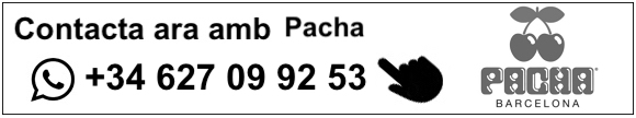 contacte pacha barcelona