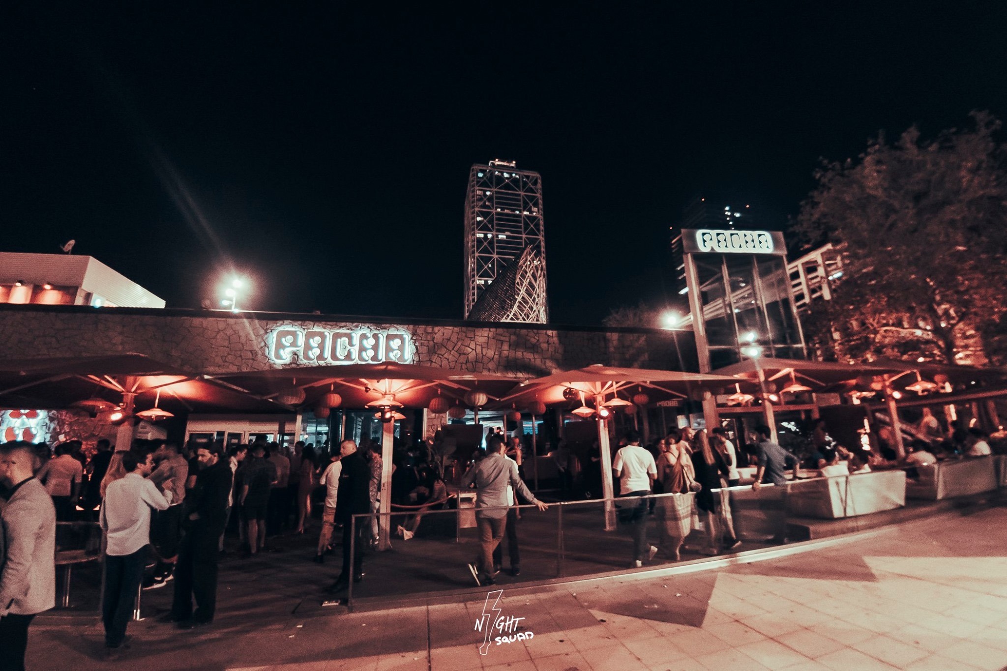 pacha barcelona club